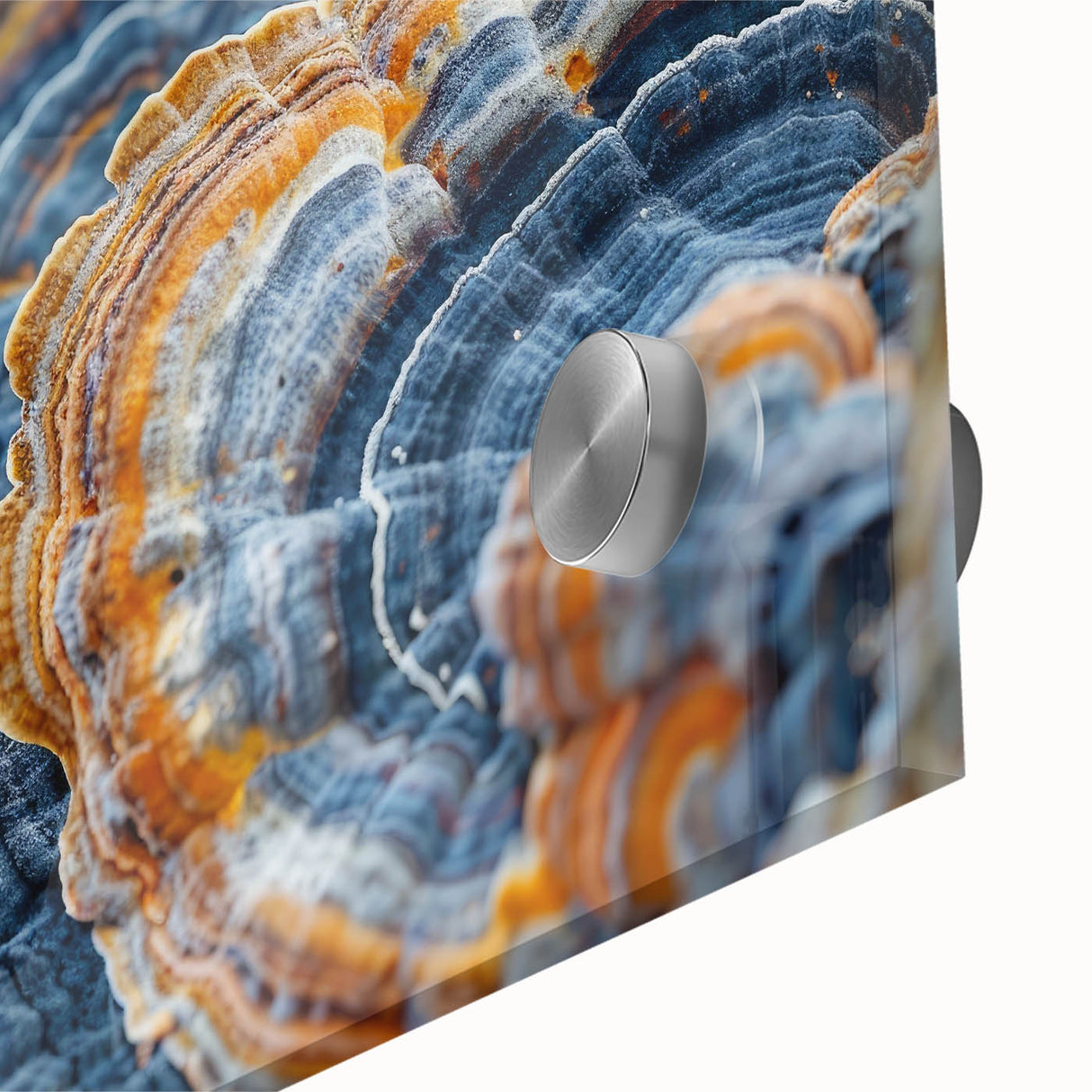 Large abstract wall art in muted earth tones on acrylic glass, ideal for dining room ambiance.