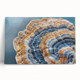 Black and white close-up photo of natural elements on a stretched canvas, ideal for kitchen wall art.