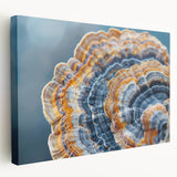 Close-up of natural elements in muted earth tones on a stretched canvas, suitable for kitchen wall art.