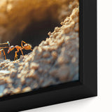 Extra large framed canvas featuring a close-up of natural elements in black with colorful, textured details.