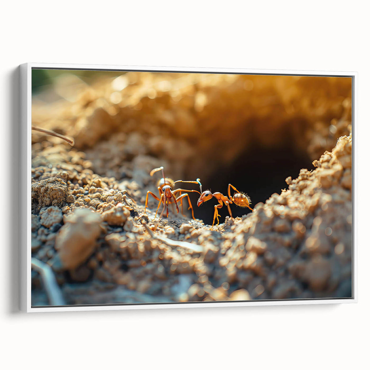 Vintage poster art of natural elements, featuring vibrant colors on extra large framed canvas, ideal for living room decor.