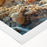 Art deco poster featuring a close-up of natural elements in muted earth tones on rolled canvas.