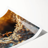 Extra large wall art featuring line art flowers in black on white, ideal for large living room wall décor.