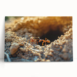 Black and white close-up photo of natural elements on stretched canvas, ideal for kitchen wall art or bedroom decor.