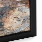 Close-up of textured black wall art with colorful natural elements on extra large framed canvas, ideal for living room decor.
