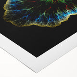 Art deco poster featuring a close-up of natural elements in muted green and brown tones on rolled canvas.