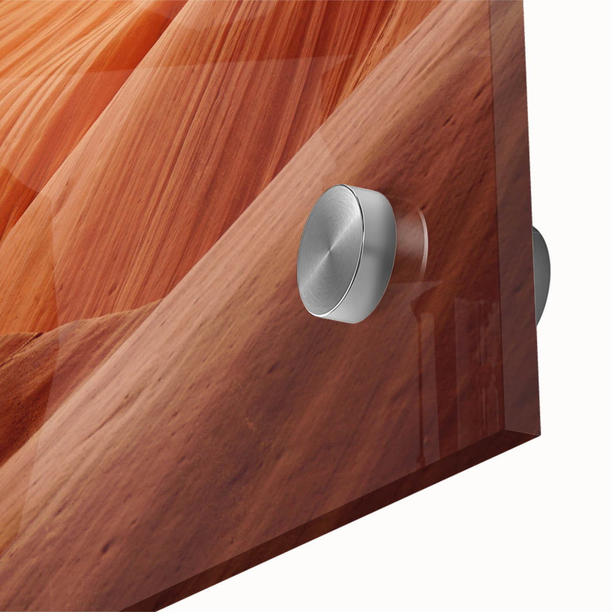 Large abstract wall art on acrylic glass featuring organic shapes in earthy tones, ideal for dining room ambiance.