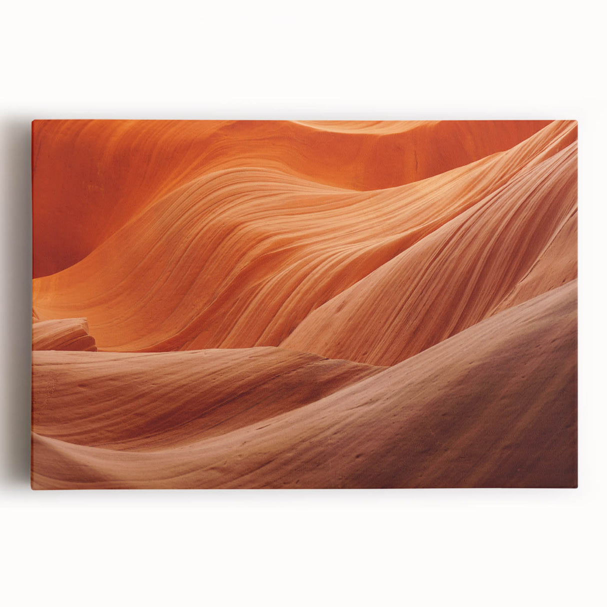Black and white close-up photo of natural elements on stretched canvas, ideal for kitchen wall art.