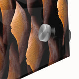 Close-up of natural elements in muted earth tones on acrylic glass.