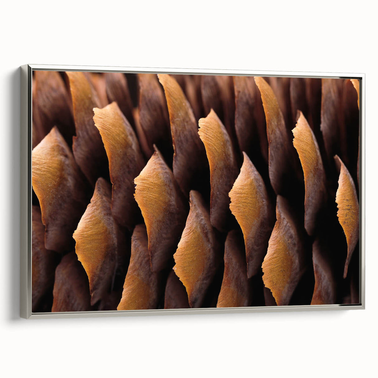 Framed canvas featuring a vintage landscape art painting with a predominantly black background and vibrant colorful accents.