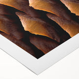 Art deco poster featuring a close-up of natural elements in muted green and brown tones on rolled canvas.