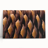 Black and white close-up photo of natural elements on stretched canvas, suitable as large kitchen wall art.