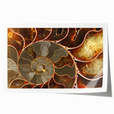 Close-up of vibrant pink and white floral art on a rolled canvas, suitable for dining room or bathroom decor.