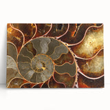 Black and white close-up photo of natural elements on stretched canvas, suitable as large kitchen wall art or bedroom decor.