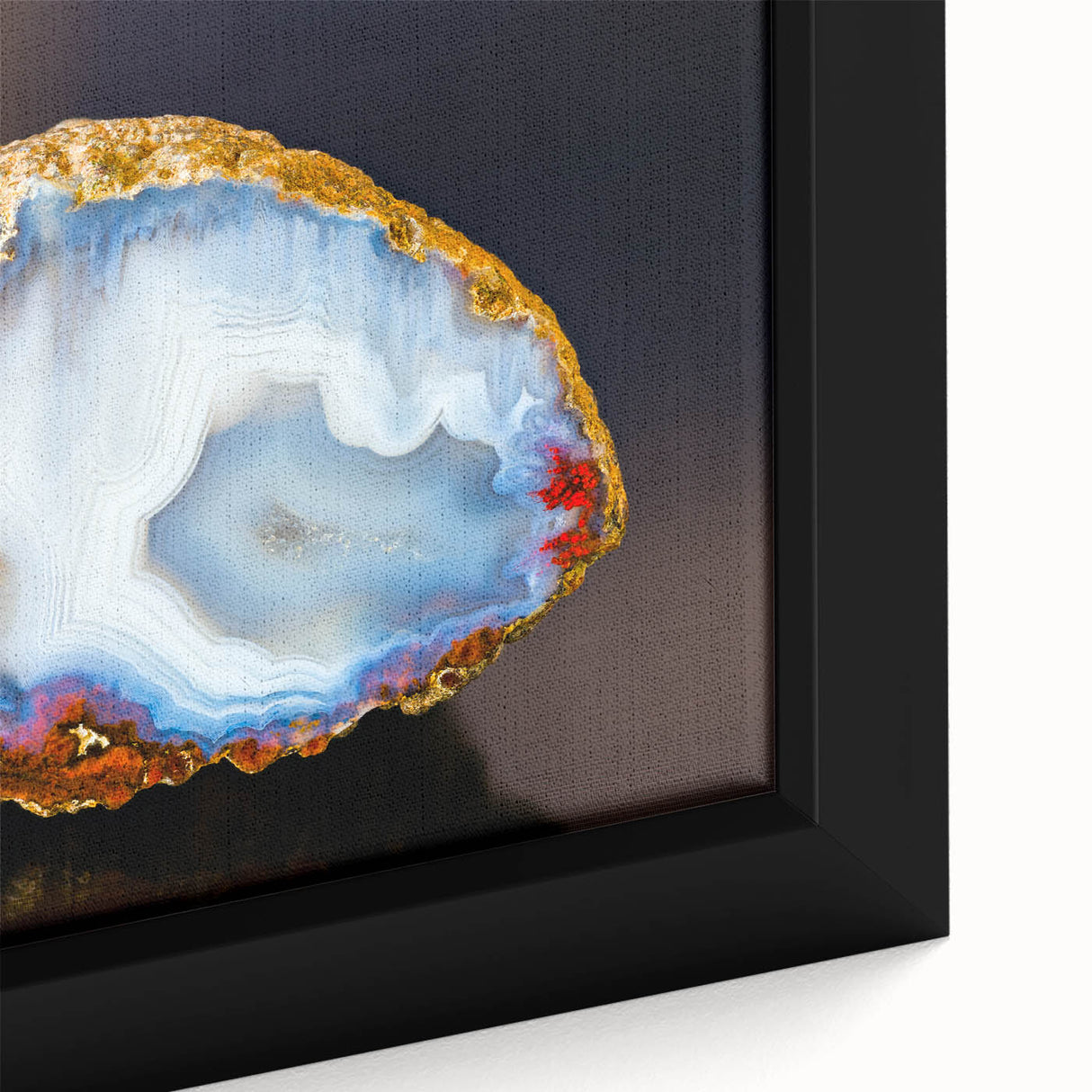 Black framed canvas featuring a close-up of colorful, textured natural elements, ideal for extra large living room wall art.