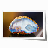 Extra large rolled print featuring close-up of dewy flowers in soft pink and green tones.