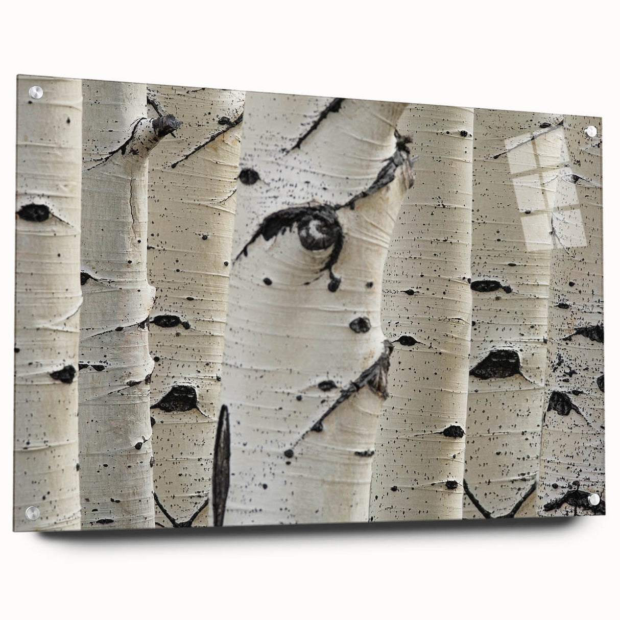 Close-up of tree branches in muted green and brown tones on acrylic glass, suitable for bedroom or dining room decor.