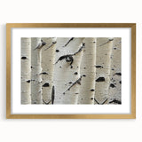 Extra large abstract art print of textured trees in gold frame, using muted earth tones, ideal for living room decor.