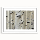Abstract art print featuring close-up of trees in muted green and brown tones, framed in white.