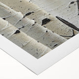 Art deco poster featuring close-ups of trees on rolled canvas, in muted greens and browns, suitable for dining room walls.