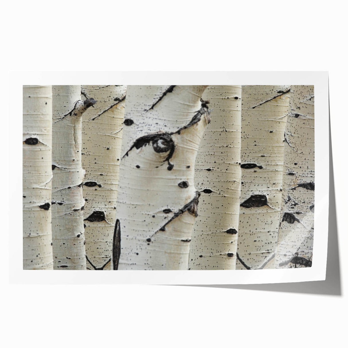 Close-up of tree branches in soft green and brown tones on a large rolled canvas.