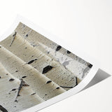 Extra large wall art featuring monochrome line art flowers on rolled canvas, ideal for large living room decor.