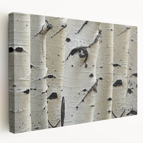 Close-up of tree bark on a large stretched canvas, displaying textured details in earthy brown tones.