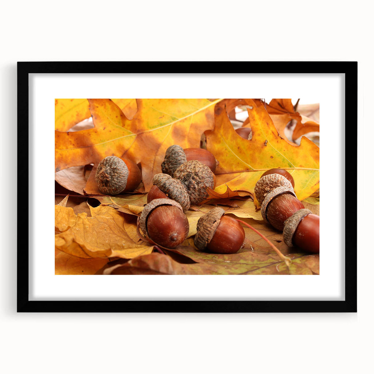 Extra large abstract art print featuring colorful, textured trees on a black framed canvas, ideal for living room decor.