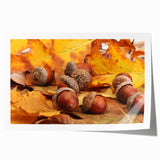 Close-up of tree bark in earthy brown tones on a rolled canvas, suitable for art wall dining room or classy bathroom decor.