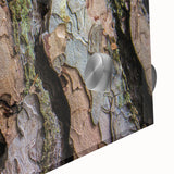Large abstract wall art of close-up trees in muted earth tones on acrylic glass, suitable for dining room ambiance.