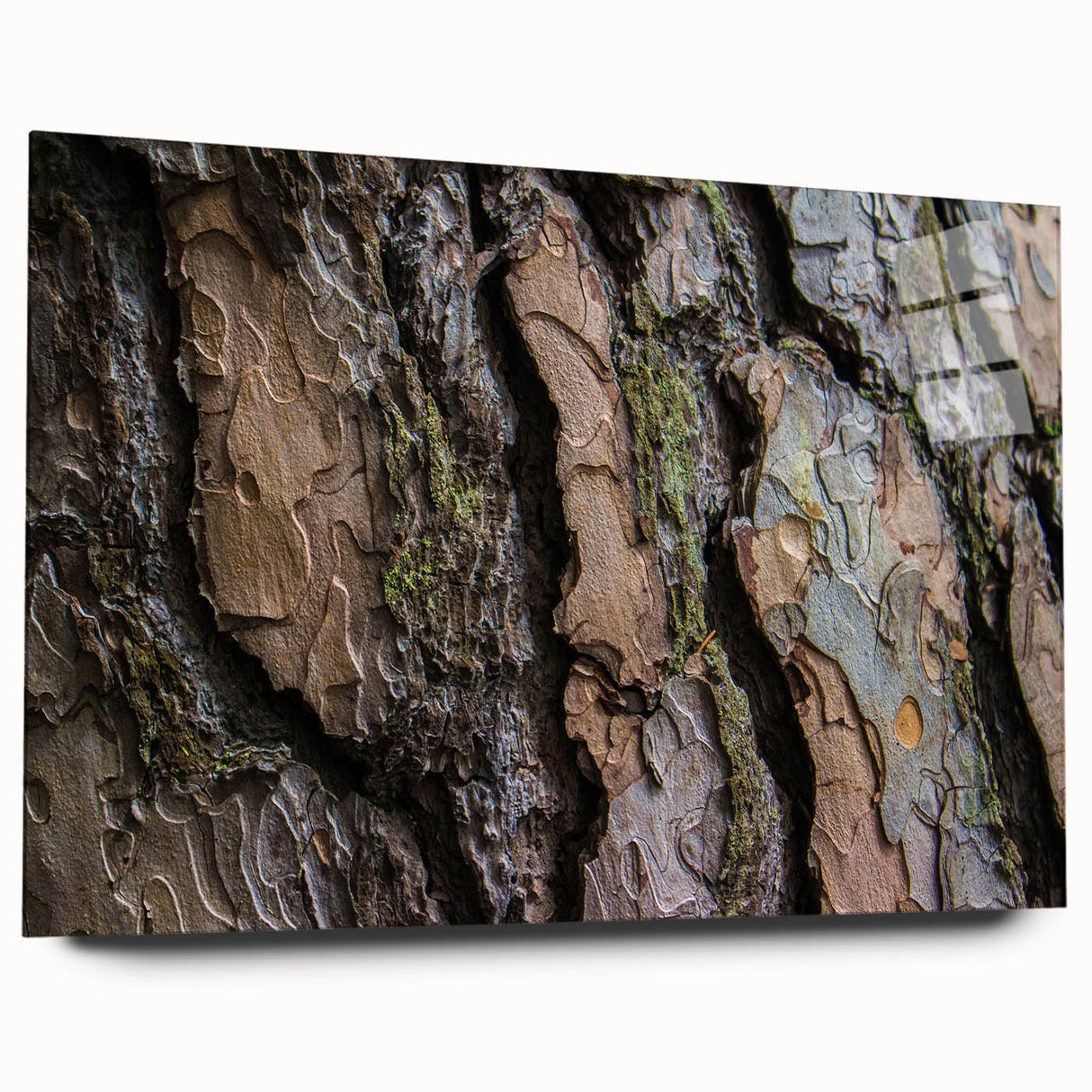 Acrylic print of abstract tree design in muted green and brown tones, ideal for bedroom or dining room decor.