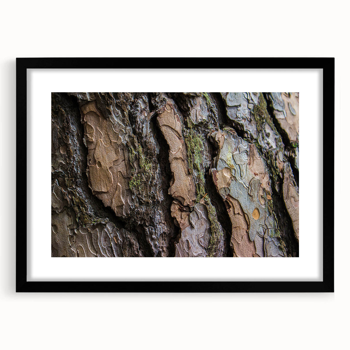 Abstract art print featuring vibrant, colorful tree close-ups on a textured, extra large canvas.