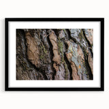 Abstract art print featuring vibrant, colorful tree close-ups on a textured, extra large canvas.