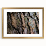 Extra large abstract art print featuring textured trees in gold frame, ideal for living room decor.