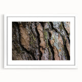 Abstract art print featuring close-up tree design in muted green and brown, framed in white, ideal for dining room decor.