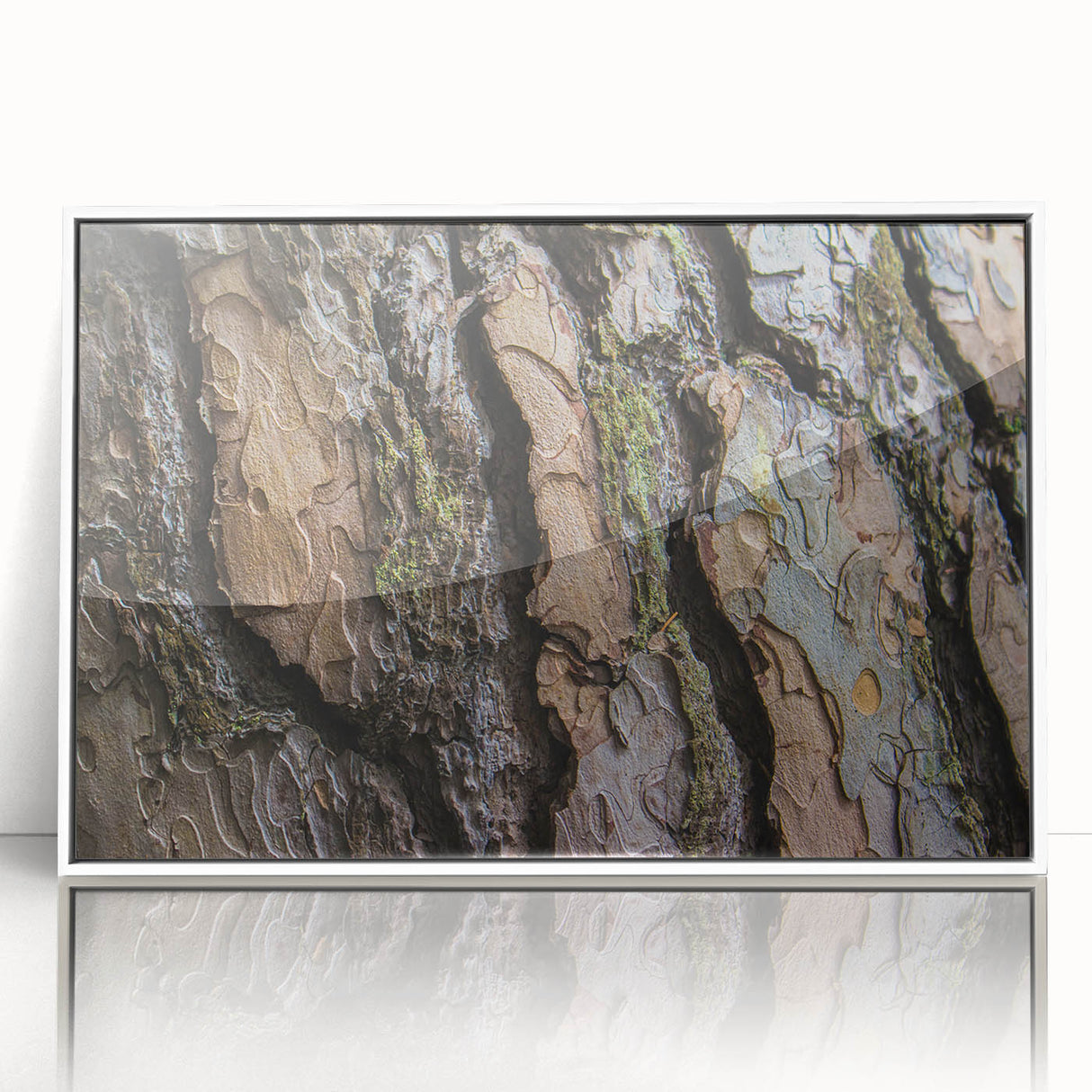 Acrylic print of close-up tree design in muted green and brown tones, framed in white, suitable for modern nursery decor.