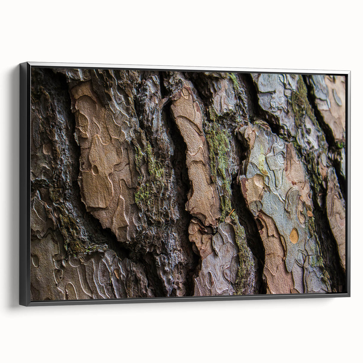 Black and white framed canvas featuring close-up of trees, ideal for bedroom wall art in a vintage style.