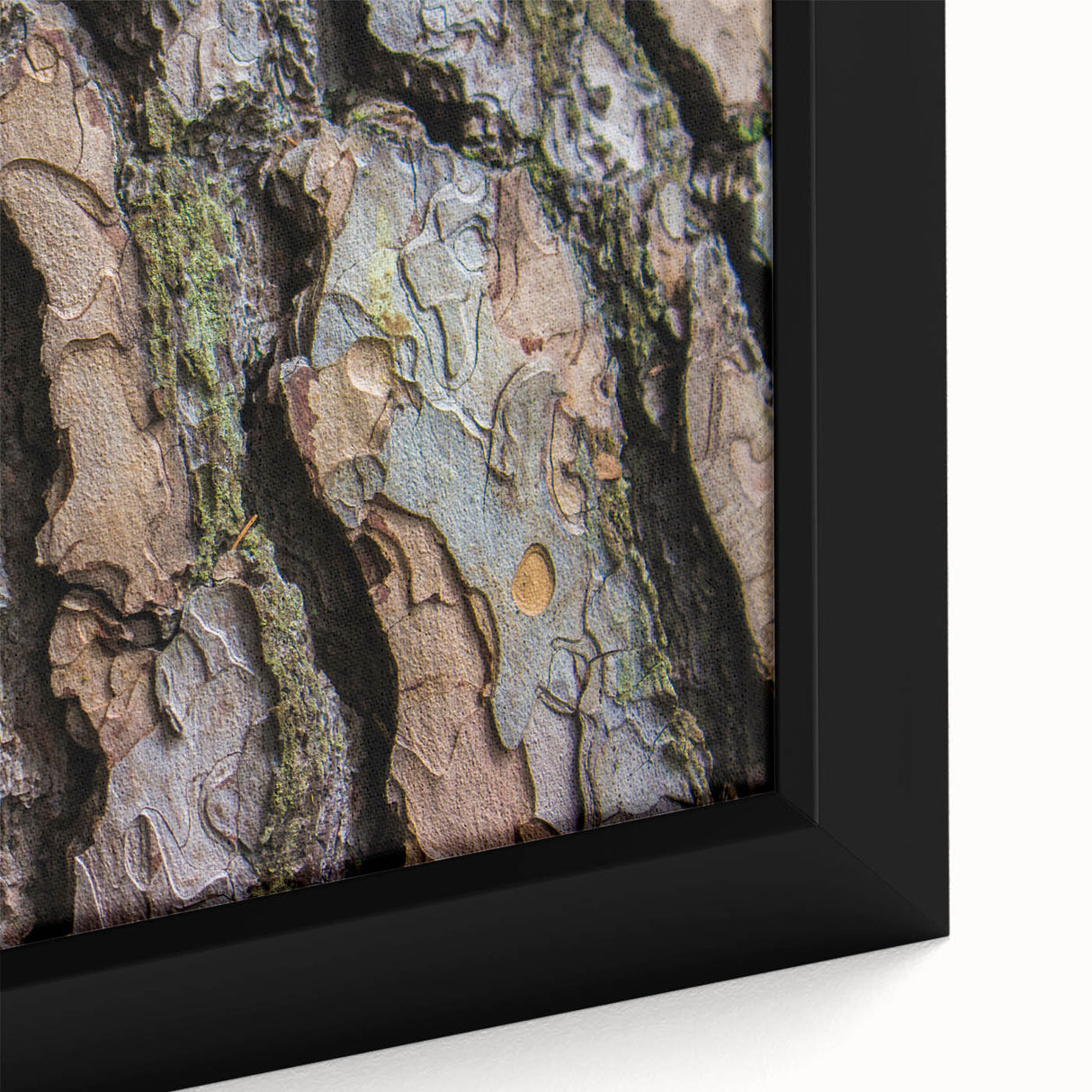 Close-up of black textured tree bark on a large framed canvas, with colorful accents, ideal for living room decor.