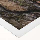 Art deco poster of a serene forest scene in muted green and brown hues on rolled canvas, suitable for dining room decor.