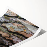 Extra large wall art featuring line art flowers in black and white on rolled canvas, suitable for large living room decor.