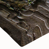 Black and white close-up landscape of trees on stretched canvas, suited for bedroom wall art.