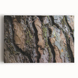 Black and white close-up photo of tree bark on stretched canvas, ideal for kitchen wall art.
