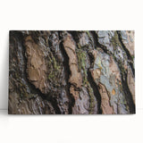 Black and white photo of close-up tree bark on a large stretched canvas, suitable as kitchen wall art or for a bedroom.