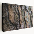 Close-up of tree bark on a large stretched canvas, displaying intricate textures in earth tones.