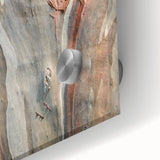 Close-up of tree bark in muted earth tones on acrylic glass, large abstract wall art, suitable for dining room ambiance.