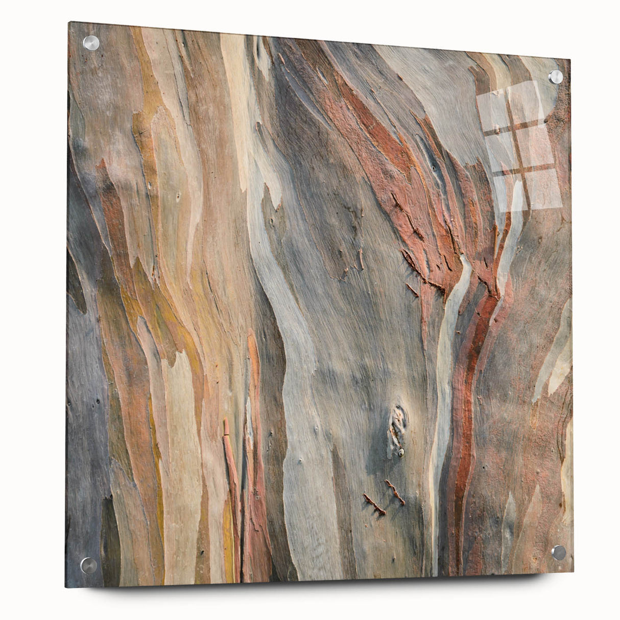Close-up of tree bark printed on large acrylic glass, featuring natural brown and green tones, ideal for dining room decor.