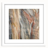 Abstract art print of close-up tree textures in muted green and brown tones, framed with a white mat.
