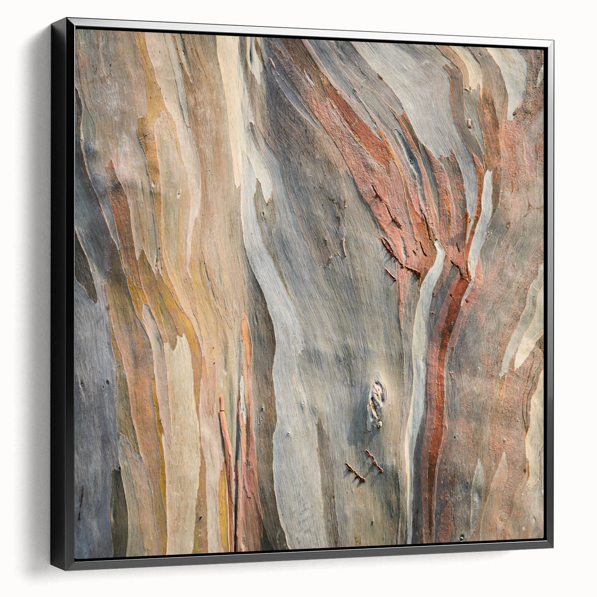 Black and white framed canvas featuring close-up of trees, ideal for bedroom wall art in a vintage style.