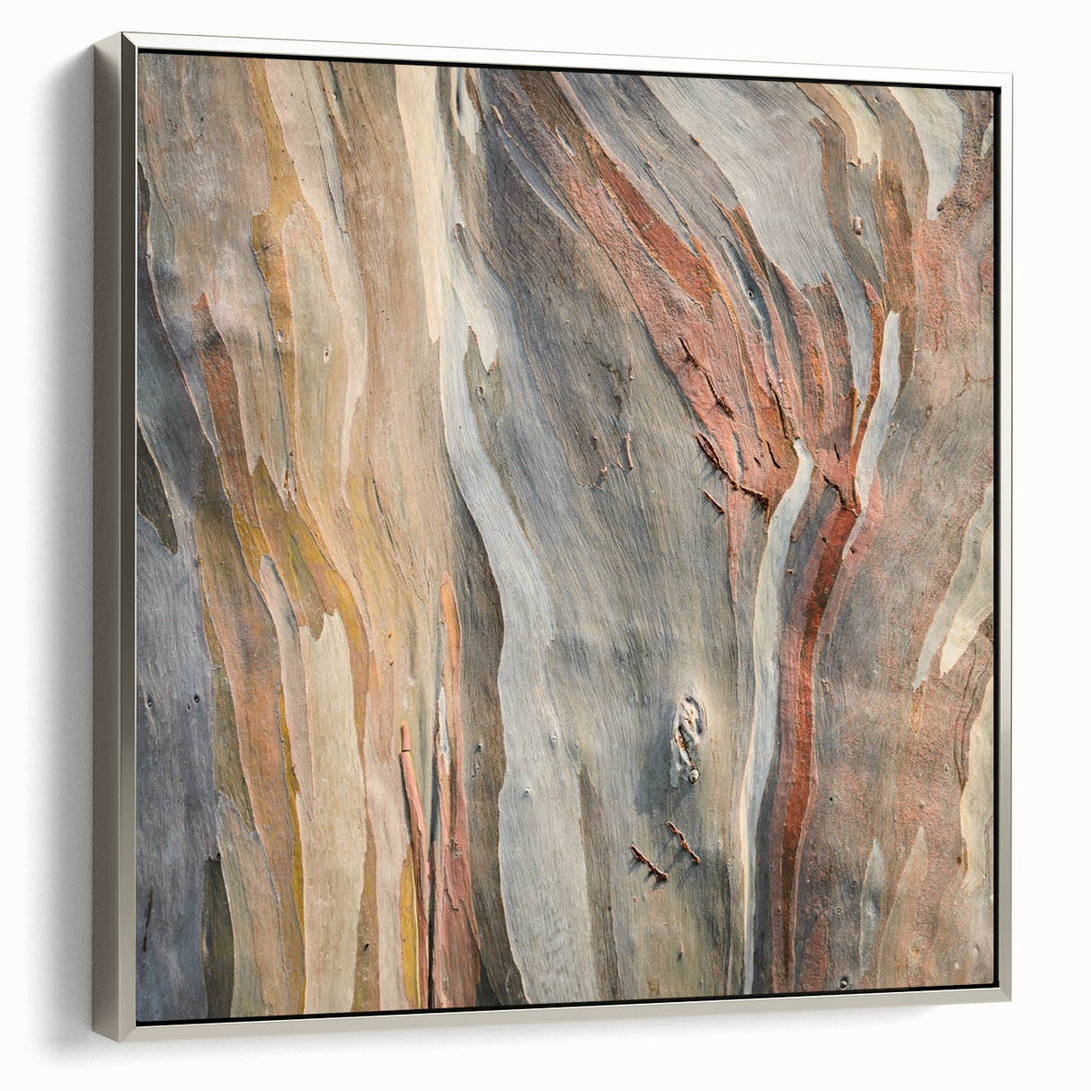 Framed canvas depicting a close-up view of tree branches in muted black tones, ideal for adding a vintage touch to any room.
