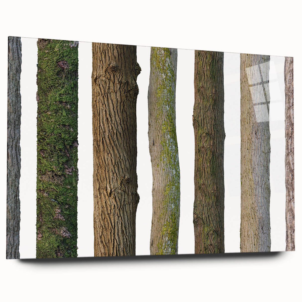 Close-up image of a tree in muted green and brown tones on acrylic glass, suitable for bedroom or dining room decor.